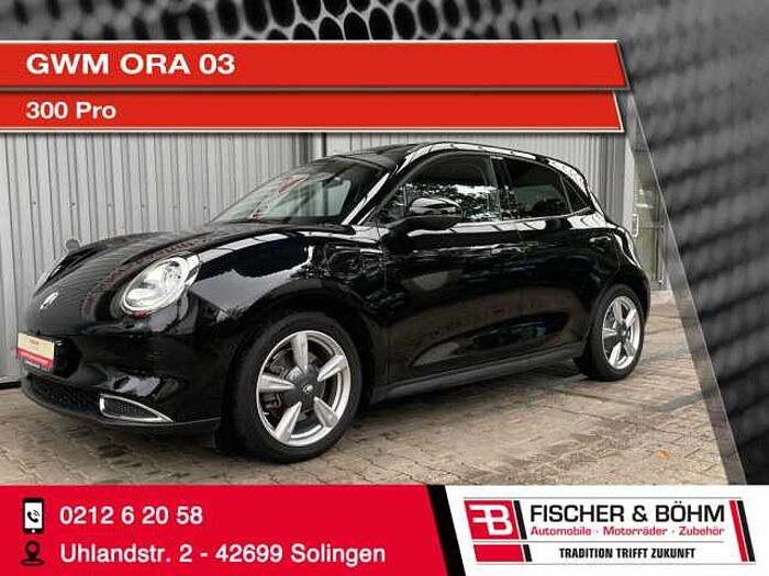 Great Wall Motor Ora 03 300 Pro