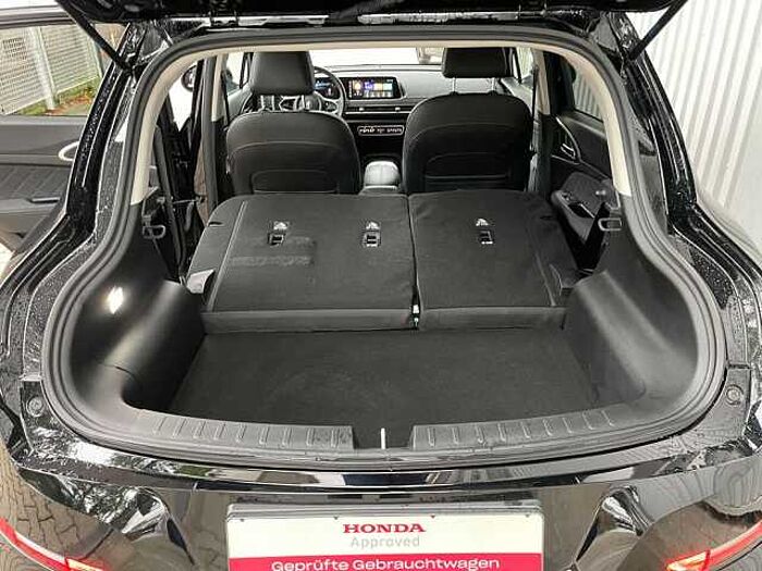 Great Wall Motor Ora 03 300 Pro
